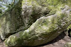 Topo 4