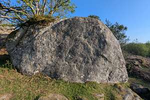 Topo 39
