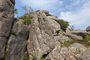 Topo 52