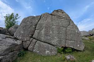 Topo 58