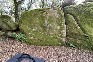 Topo 8