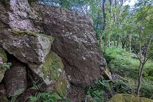 Topo 82