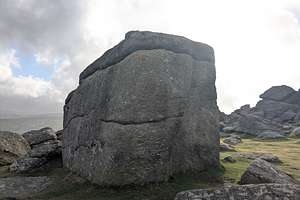 Topo 14